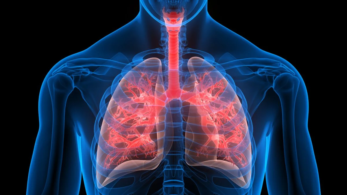Lung Cancer